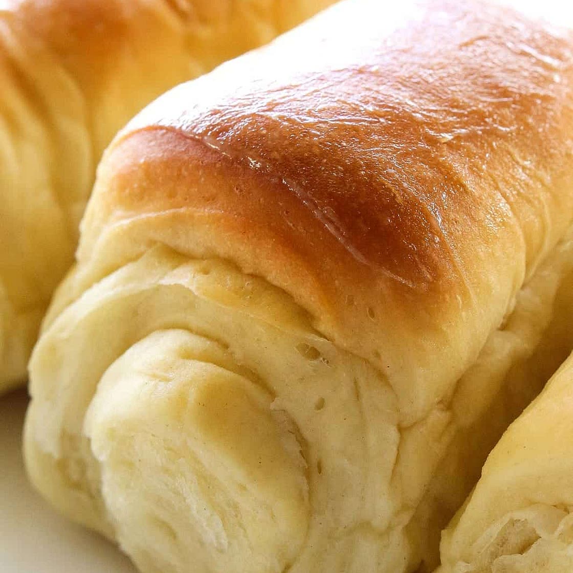 Lion House Rolls