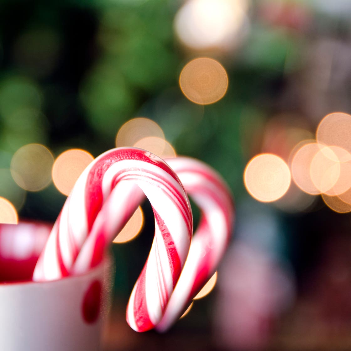 How to Make Your Own Candy Canes
