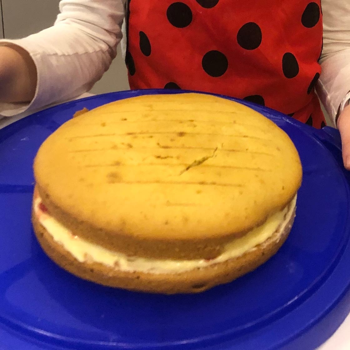 Yummy egg-free Victoria sponge cake!
