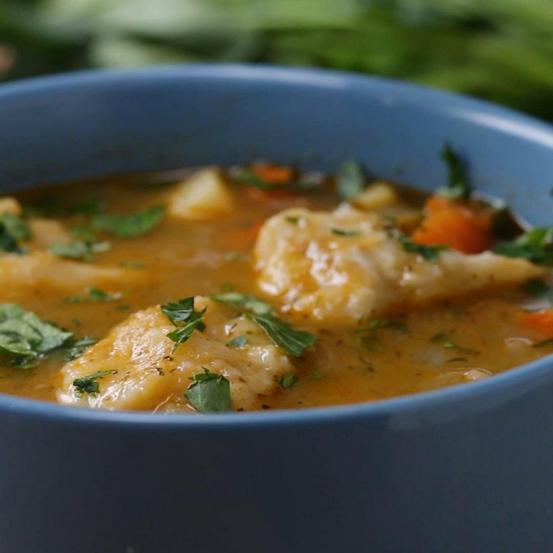 Vegetable Dumpling Soup Recipe by Tasty