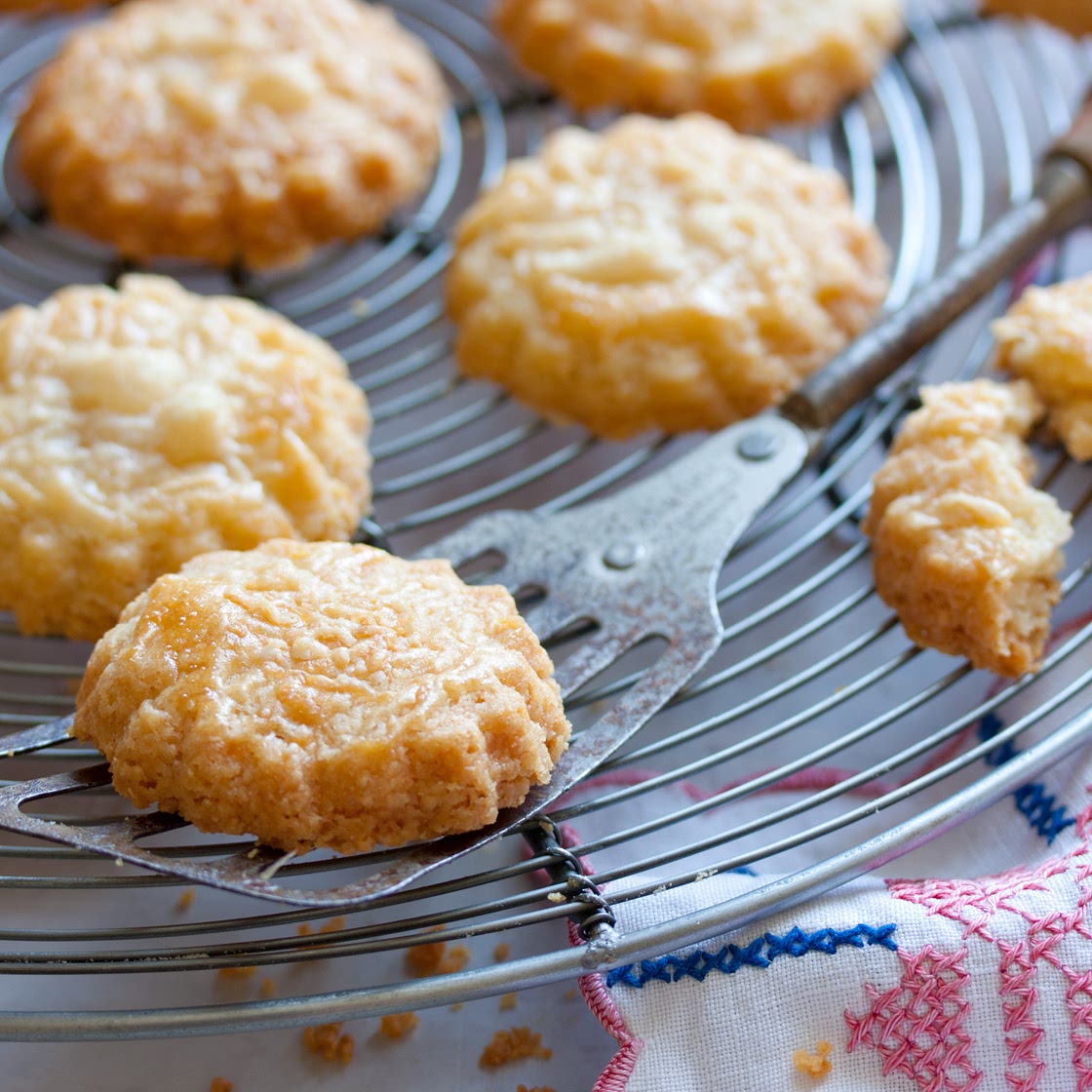 Parmesan biscuits