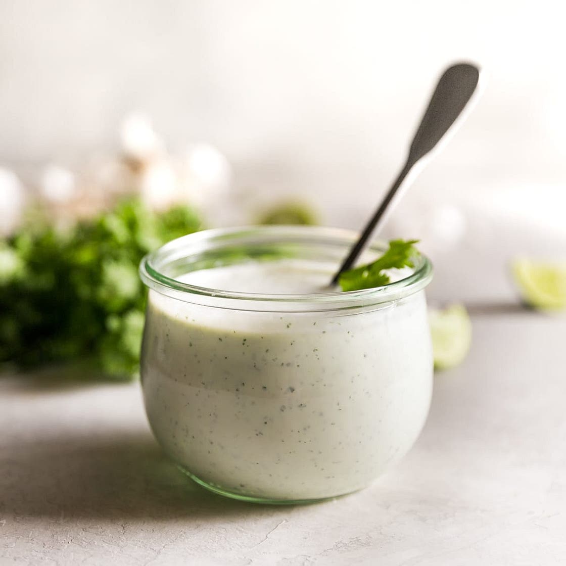 Cilantro Garlic Sauce