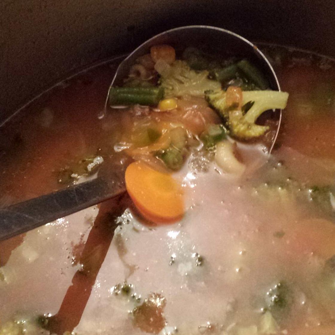 Hamburger Vegetable Soup