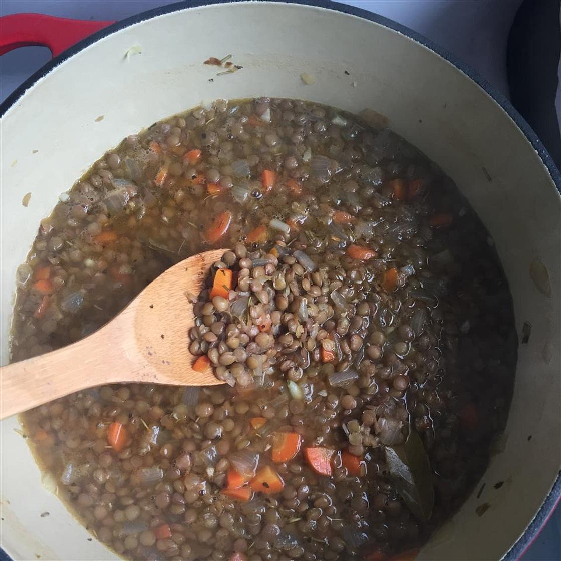 Greek Lentil Soup (Fakes)