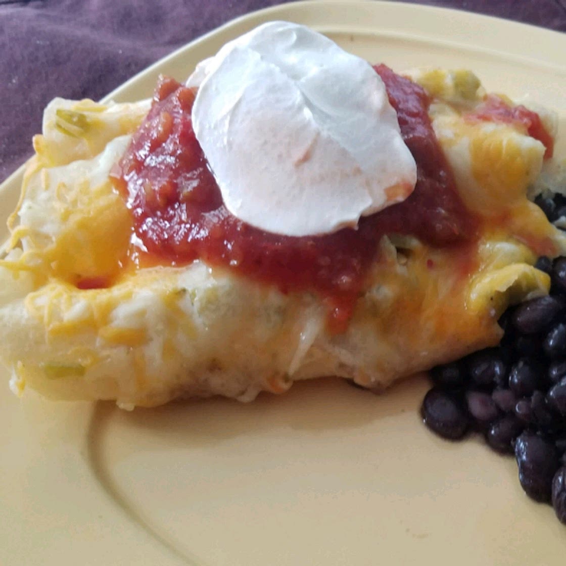 Enchanted Sour Cream Chicken Enchiladas