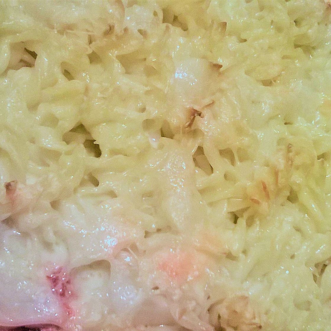 Creamy Chicken Lasagna