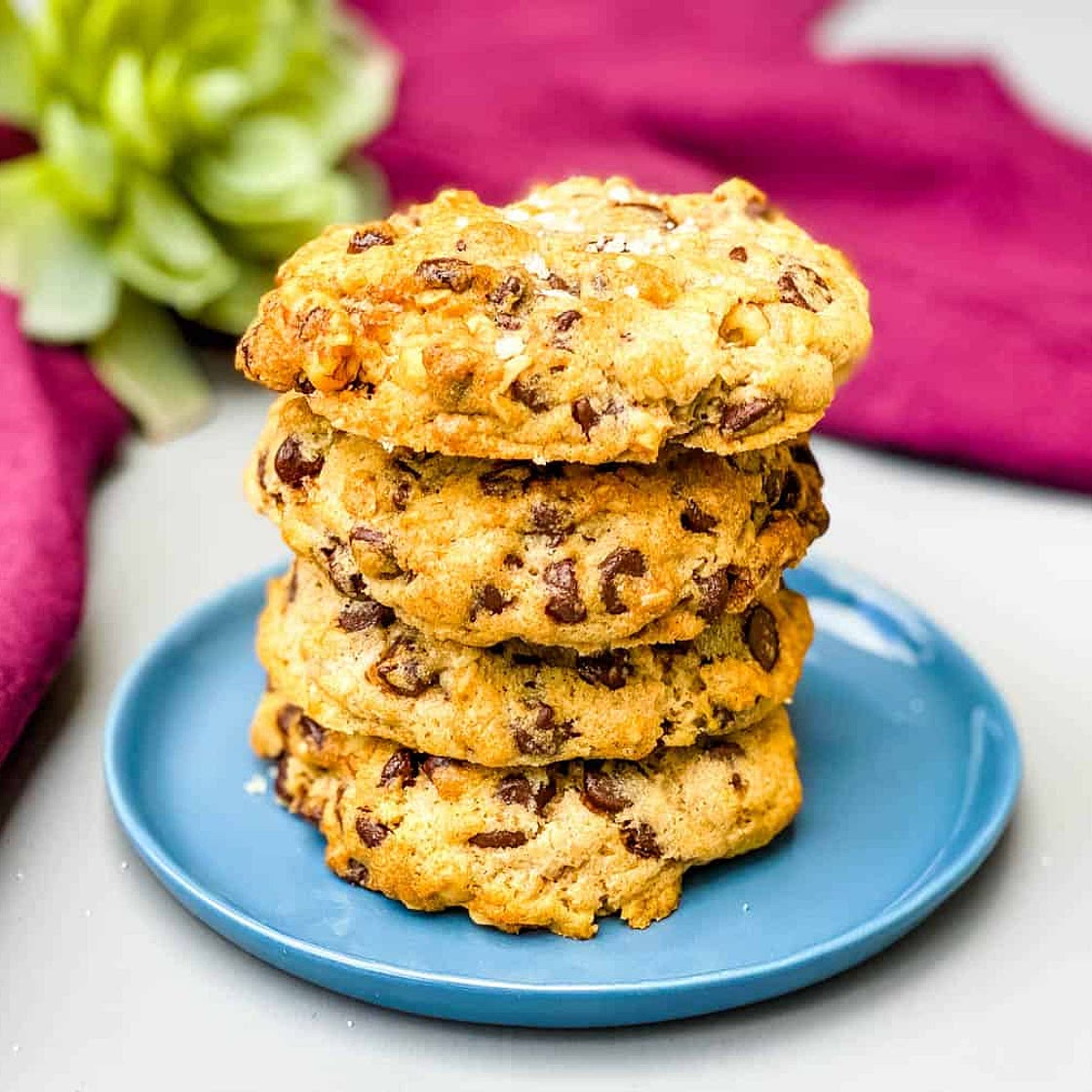 Easy Air Fryer Chocolate Chip Cookies
