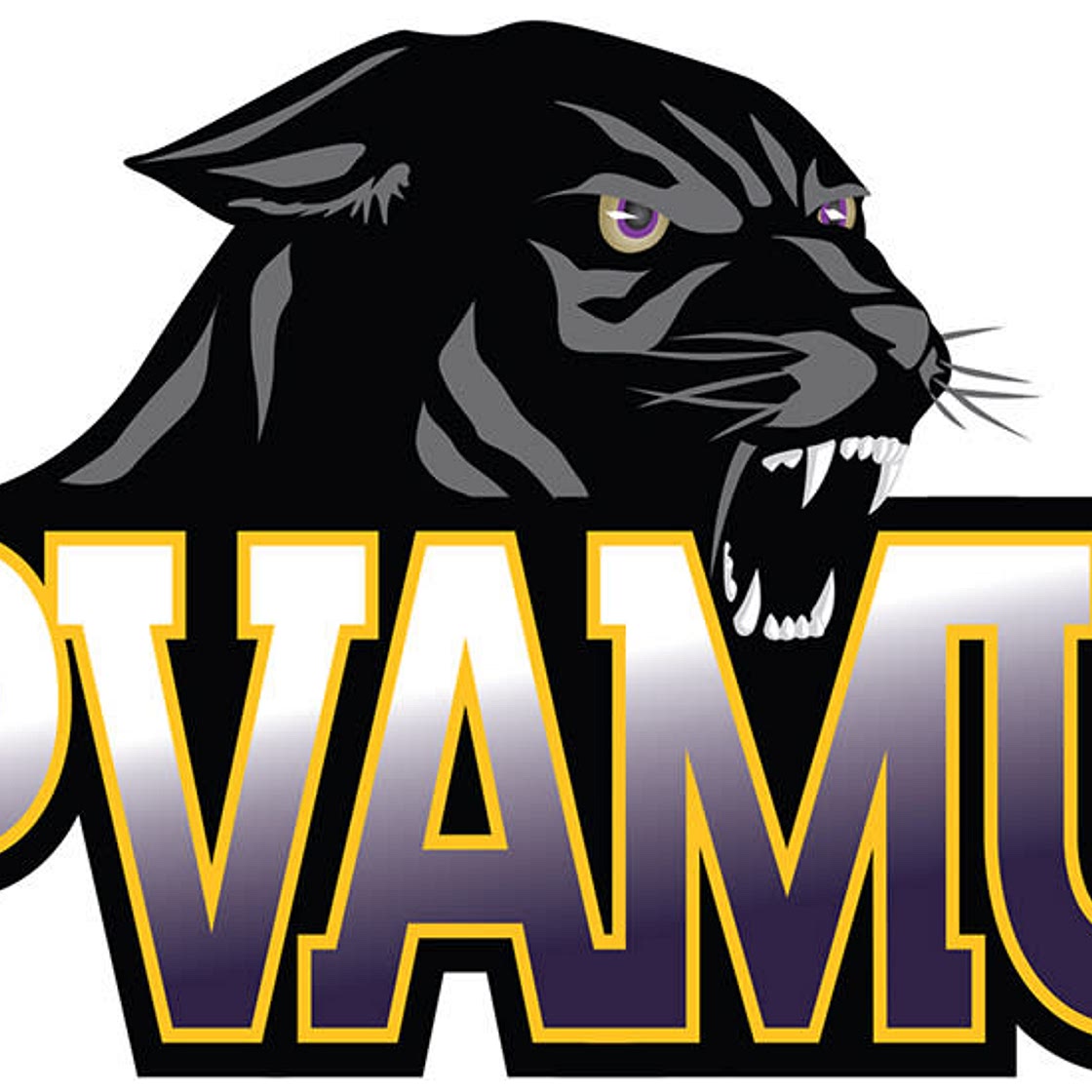 PVAMU Ice Cream