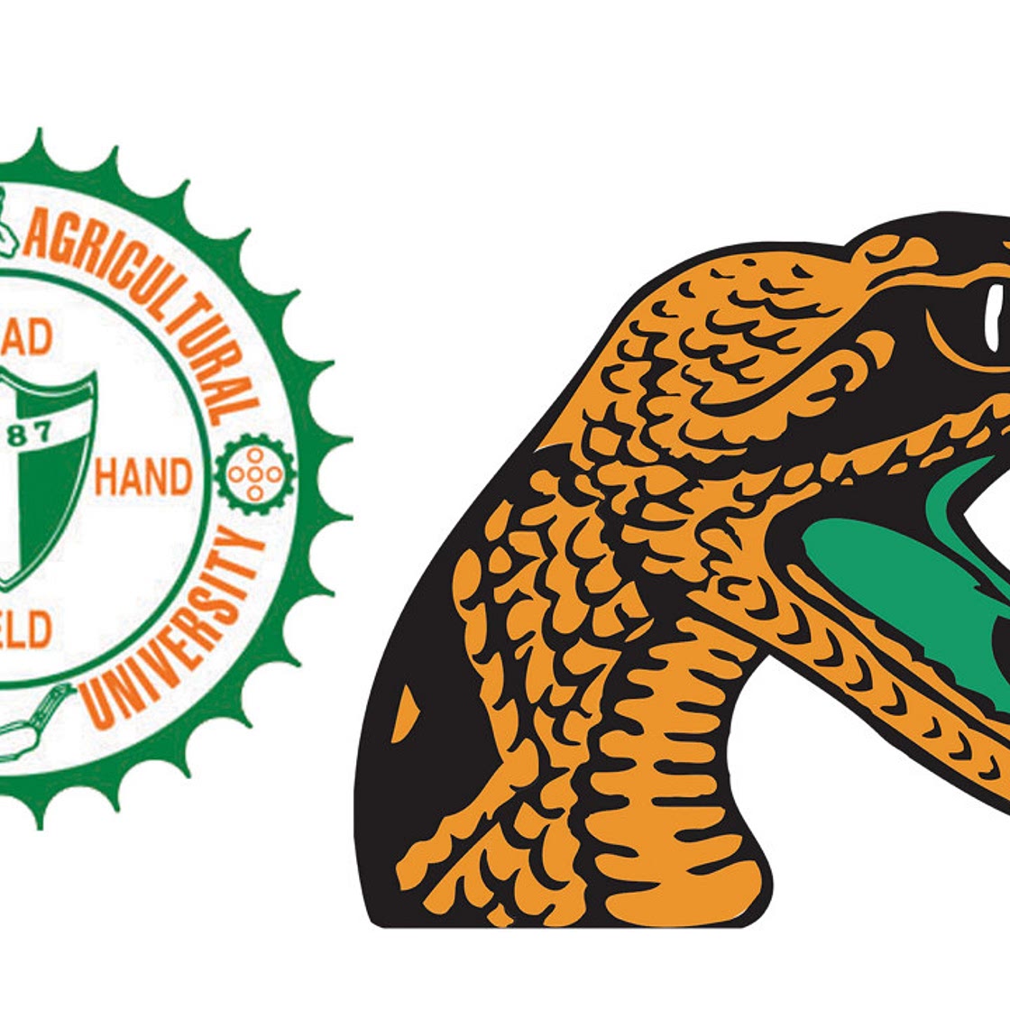 Florida A&M Ice Cream