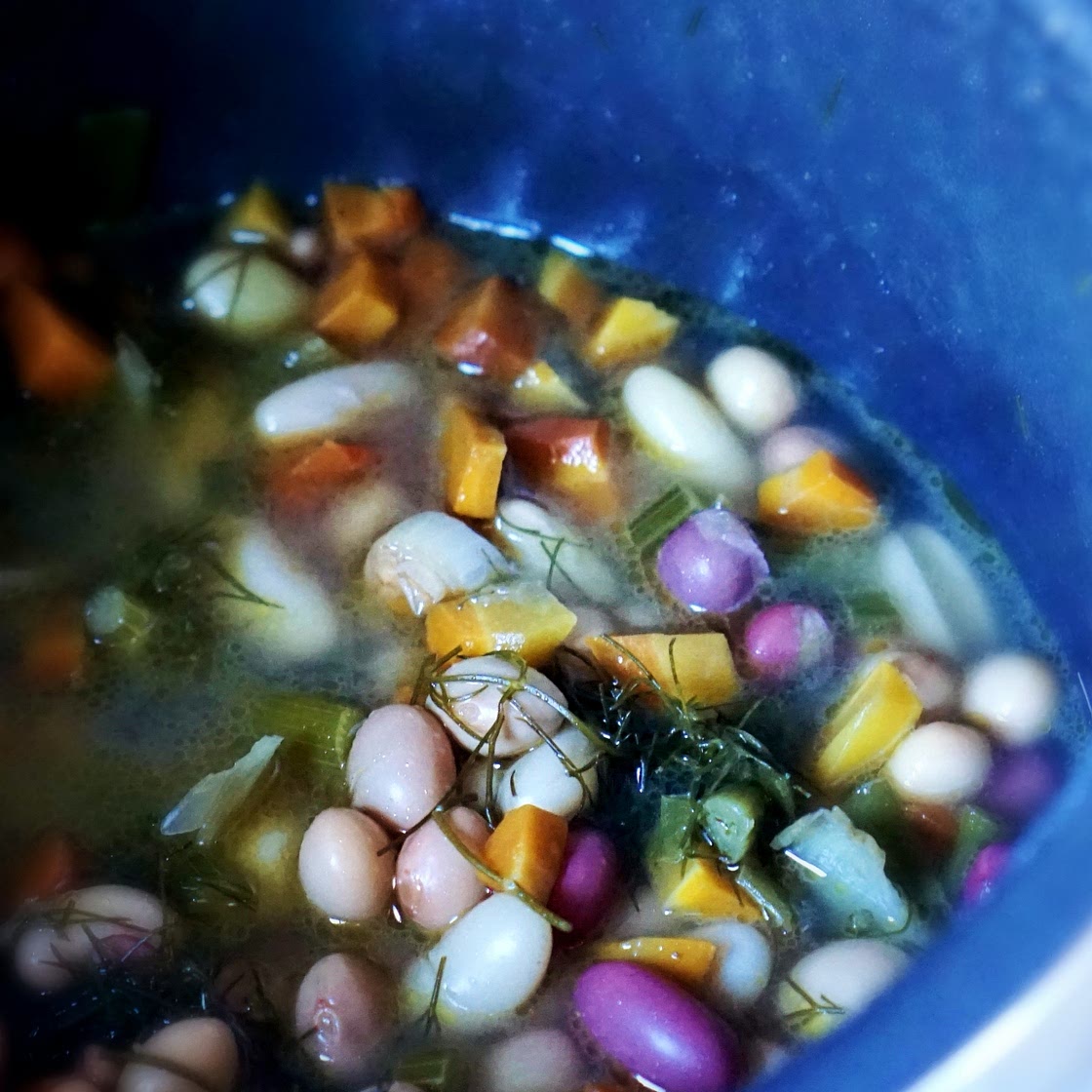 Beans and veggies soup