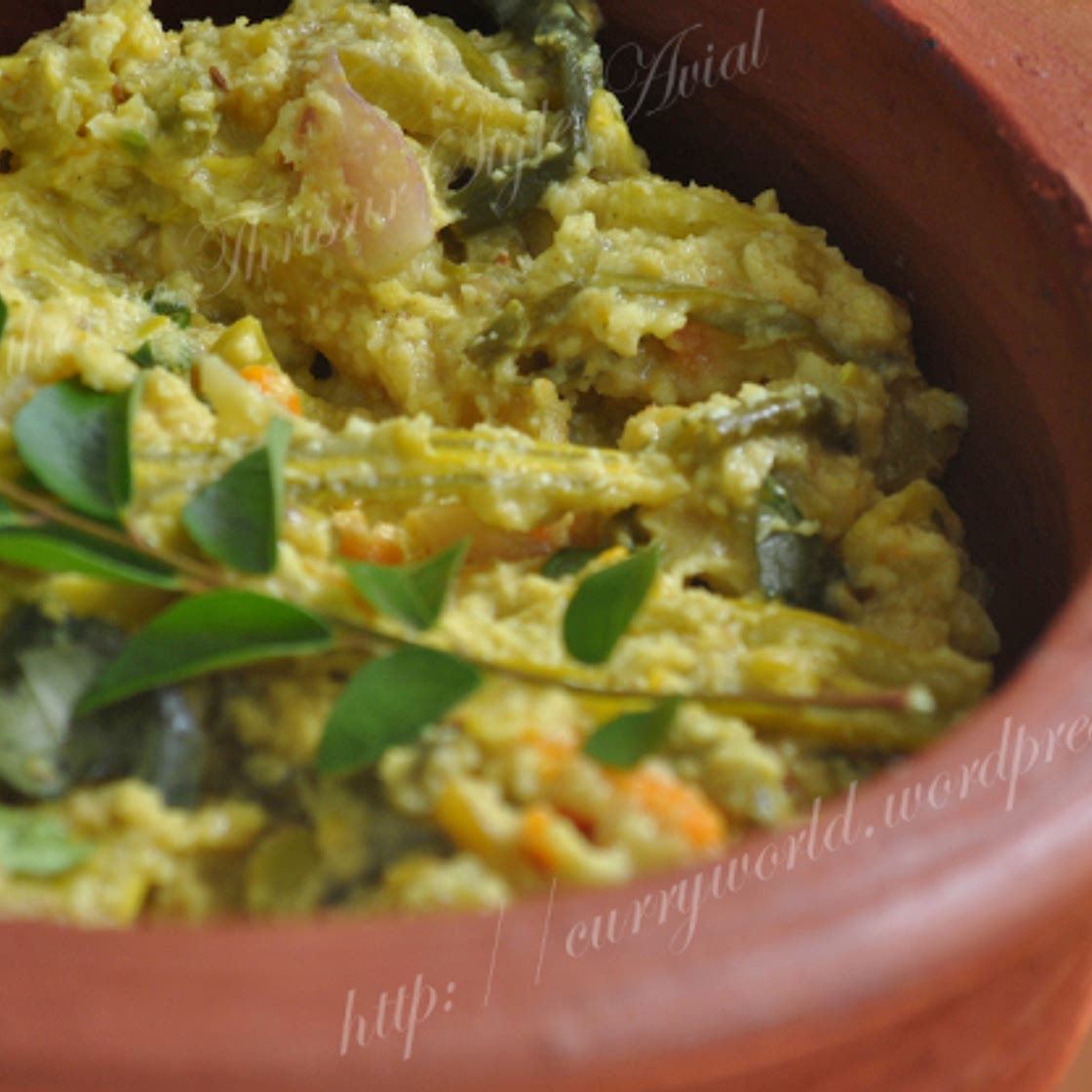 Aviyal-North Kerala Style