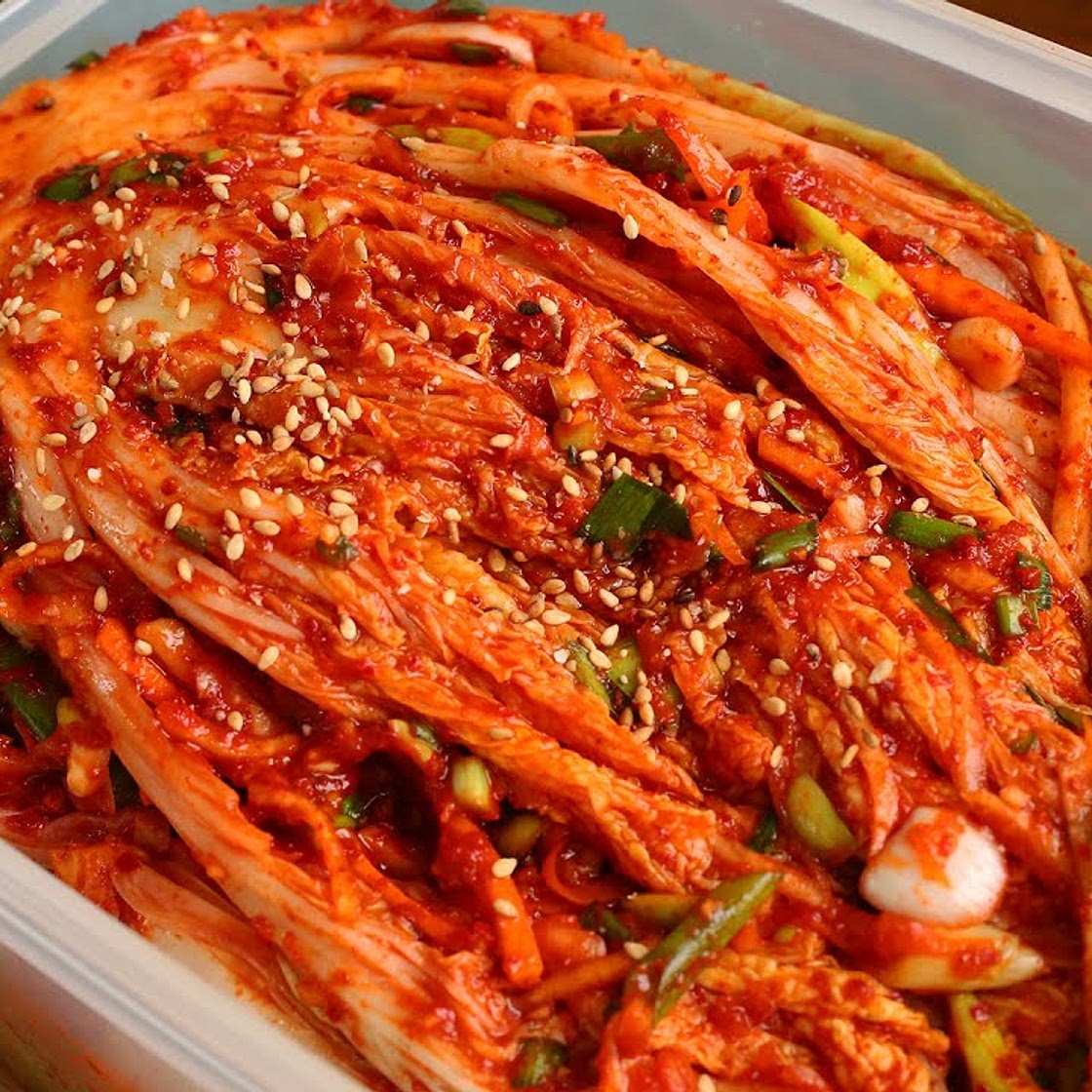 Traditional napa cabbage kimchi (Tongbaechu-kimchi: 통배추김치)
