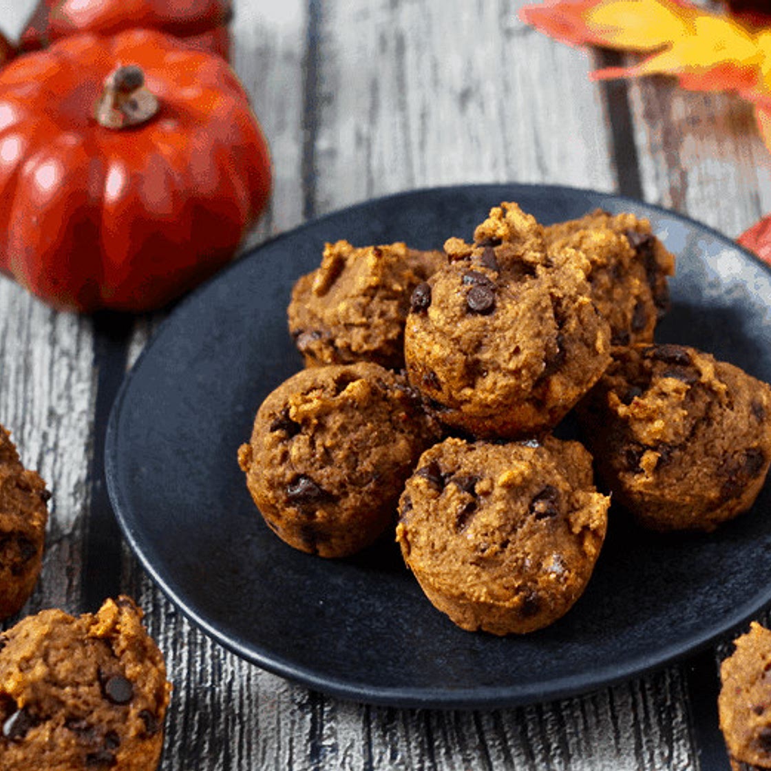 Pumpkin chocolate chip mini muffins