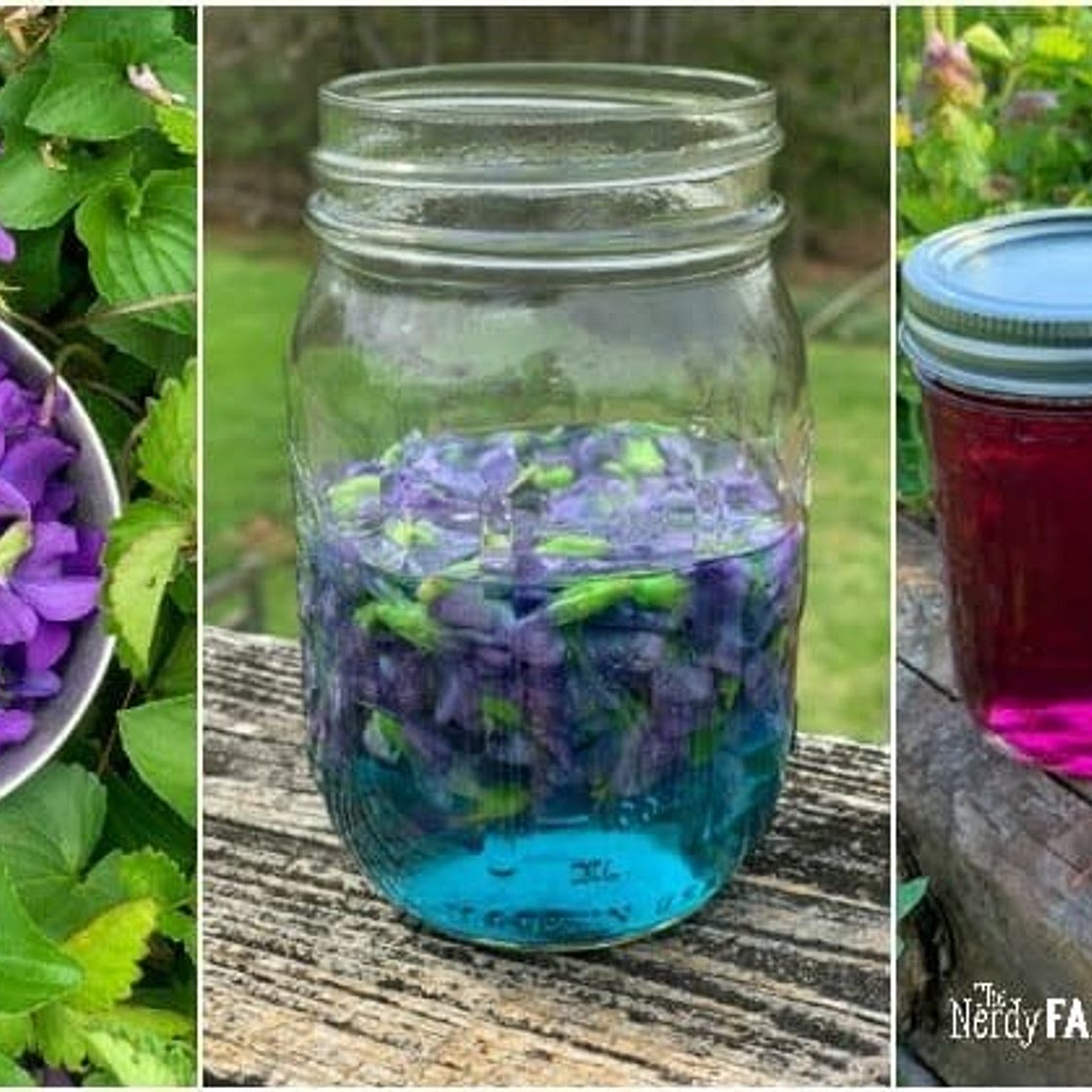Homemade Violet Flower Jelly