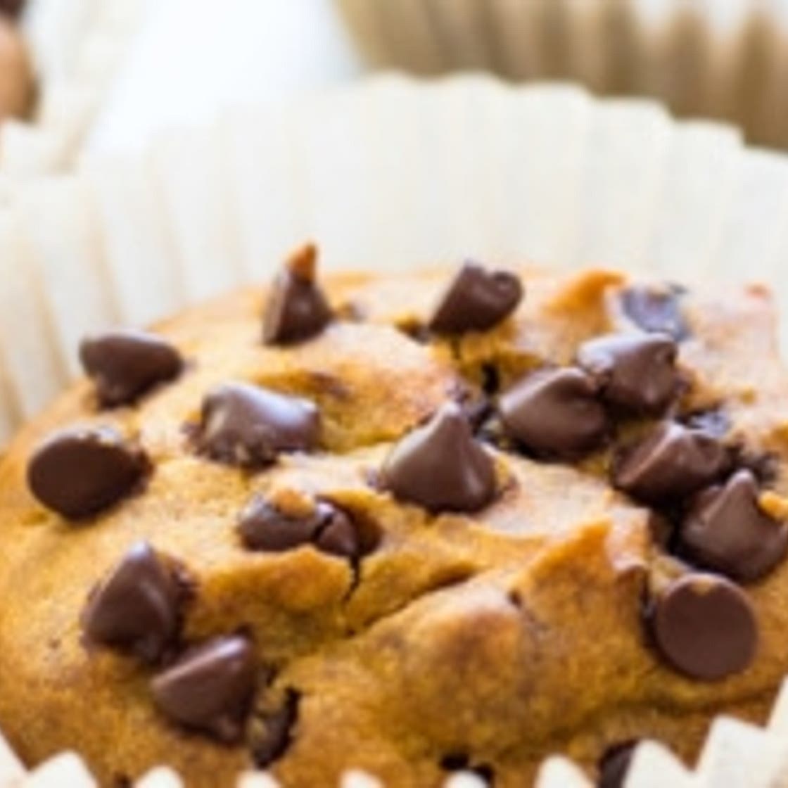 Low FODMAP Pumpkin Muffins with Chocolate Chips