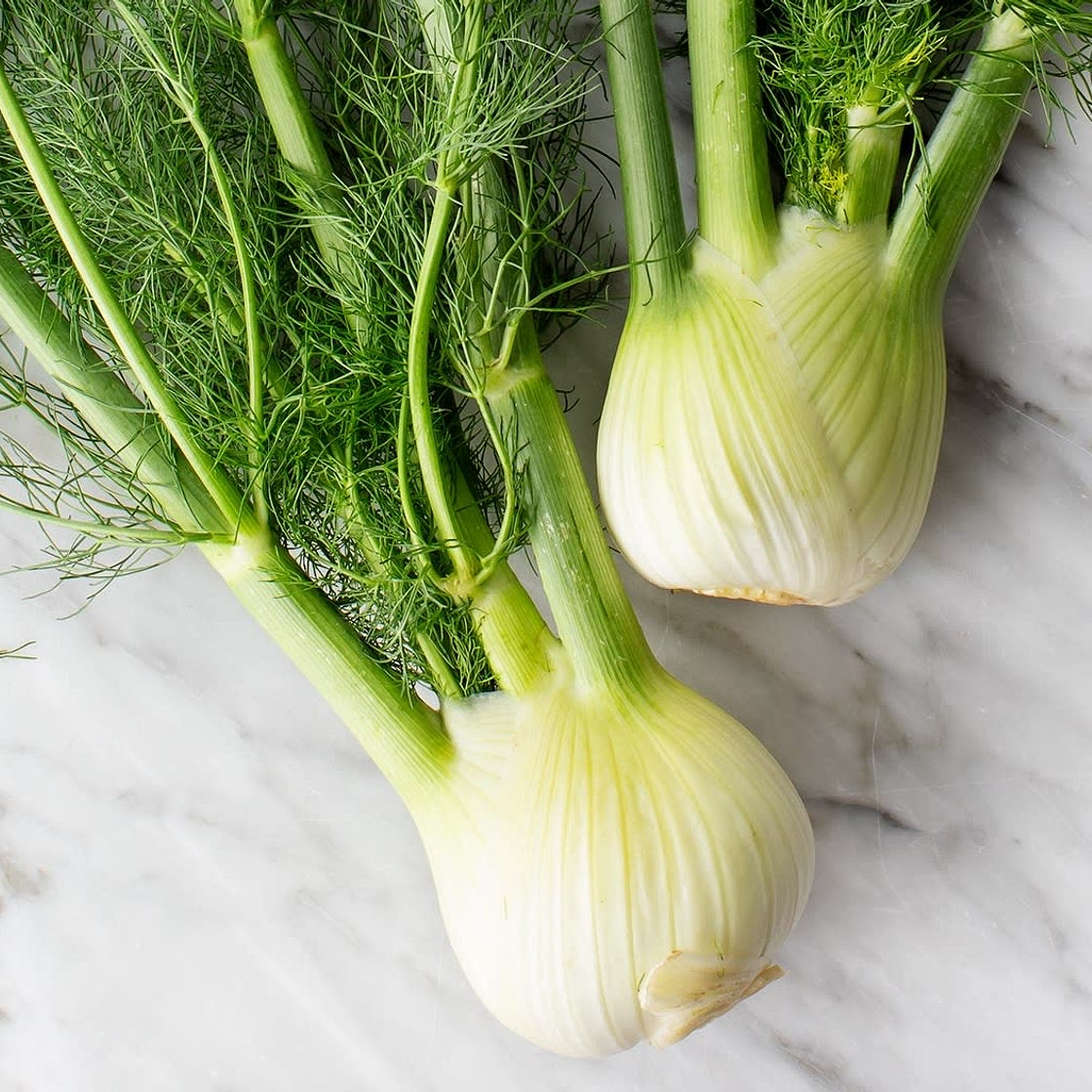 Fennel, Carrot, Mushroom Stir Fry