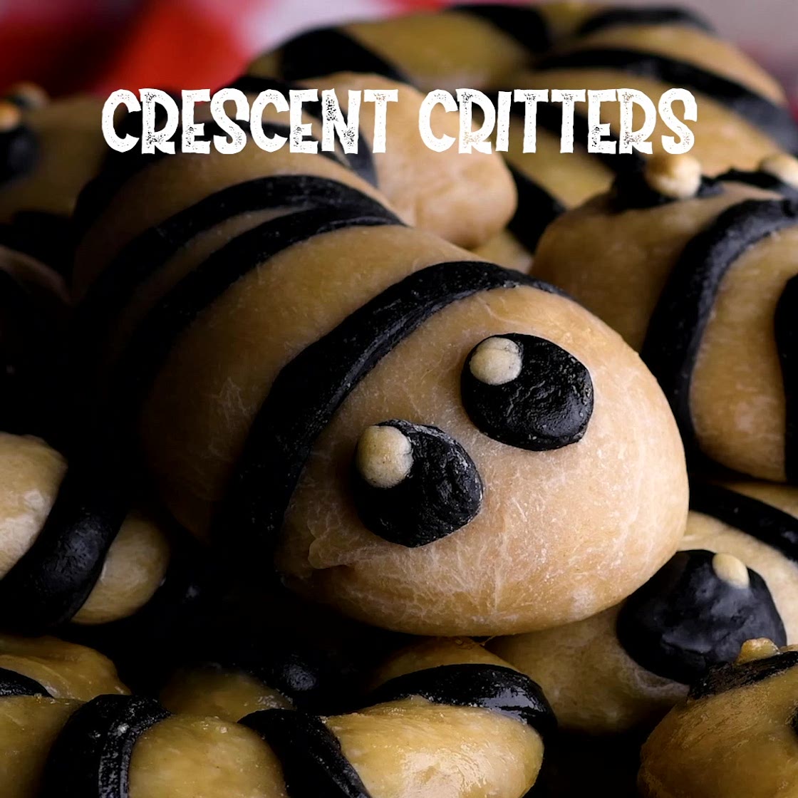 Crescent Critters