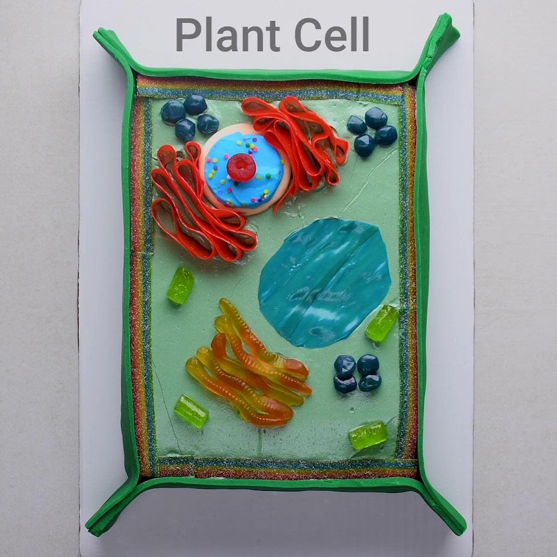 Plant Cell Cake