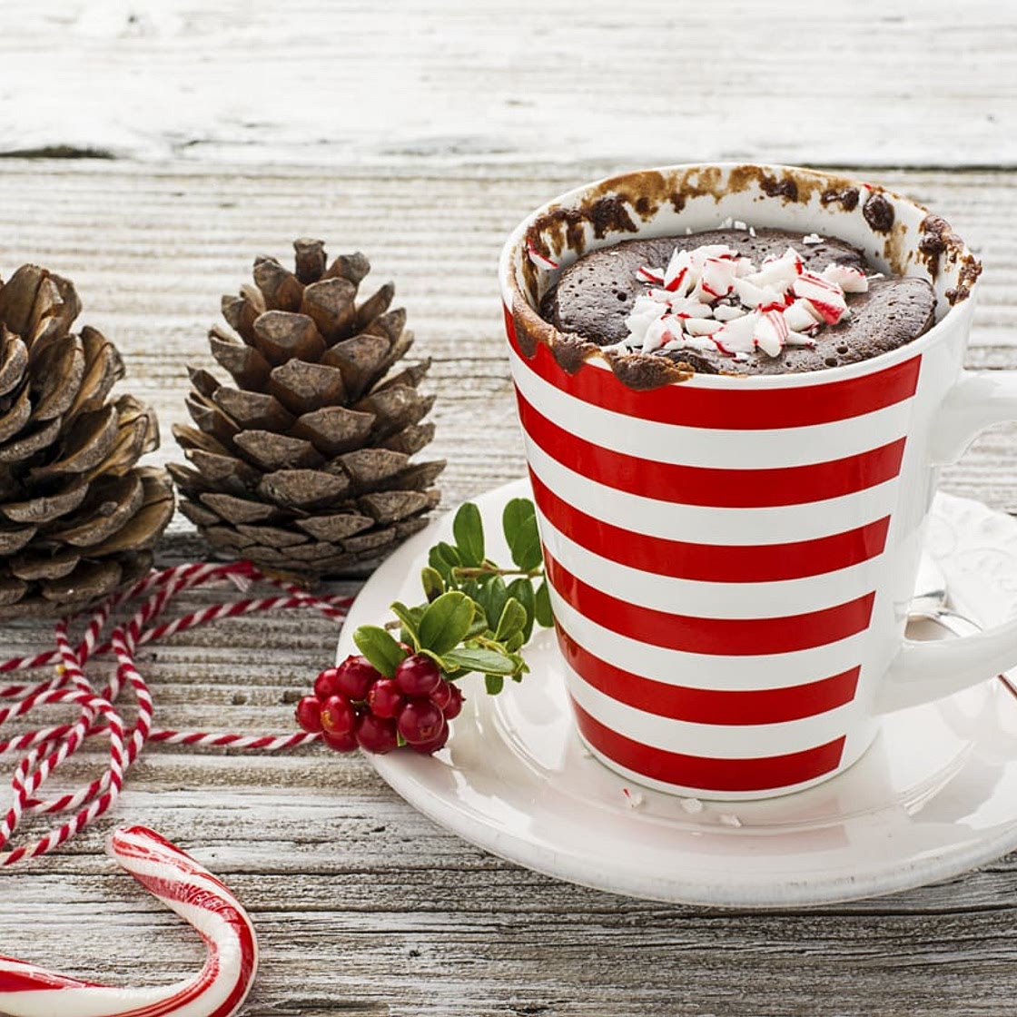 The Perfect Chocolate Mug Cake Holiday Gift