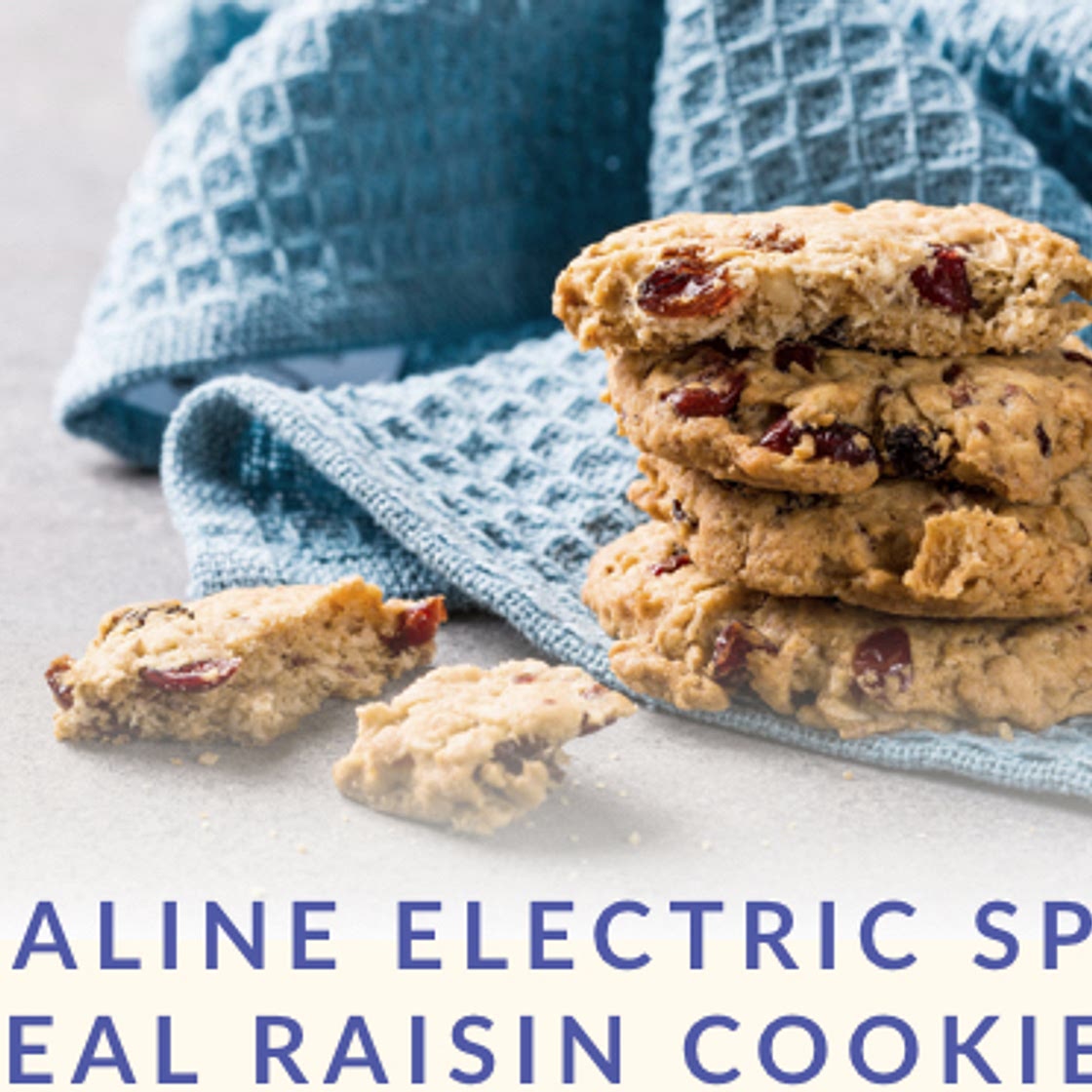 Dr. Sebi's Alkaline-Electric Spelt Meal Raisin Cookies - Dr Sebi's Cell Food