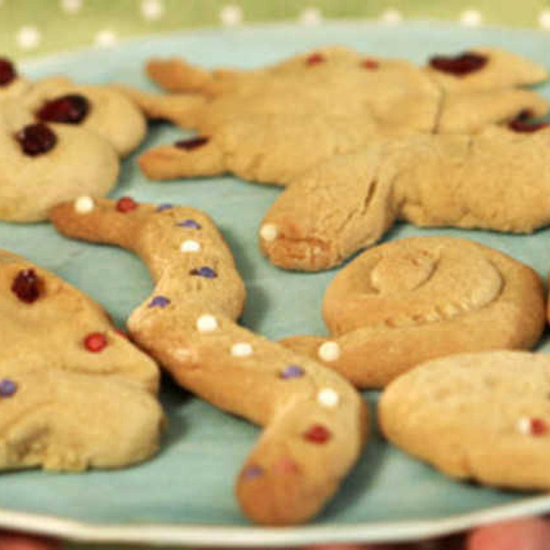 Lemony animal biscuits