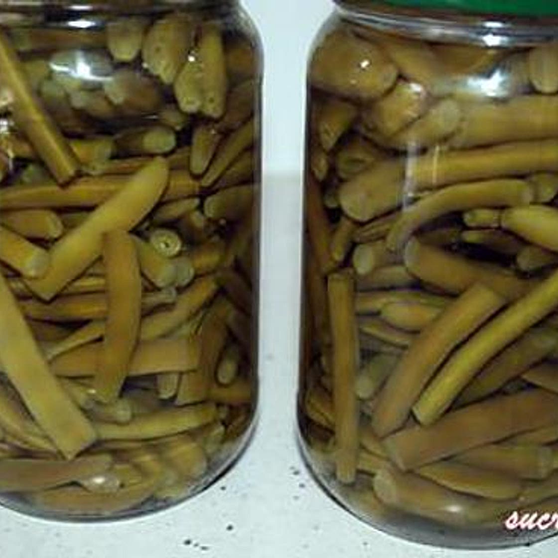 Conserves d'haricots verts