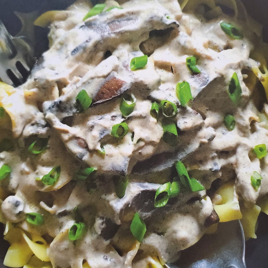 Alton Browns Mushroom Stroganoff