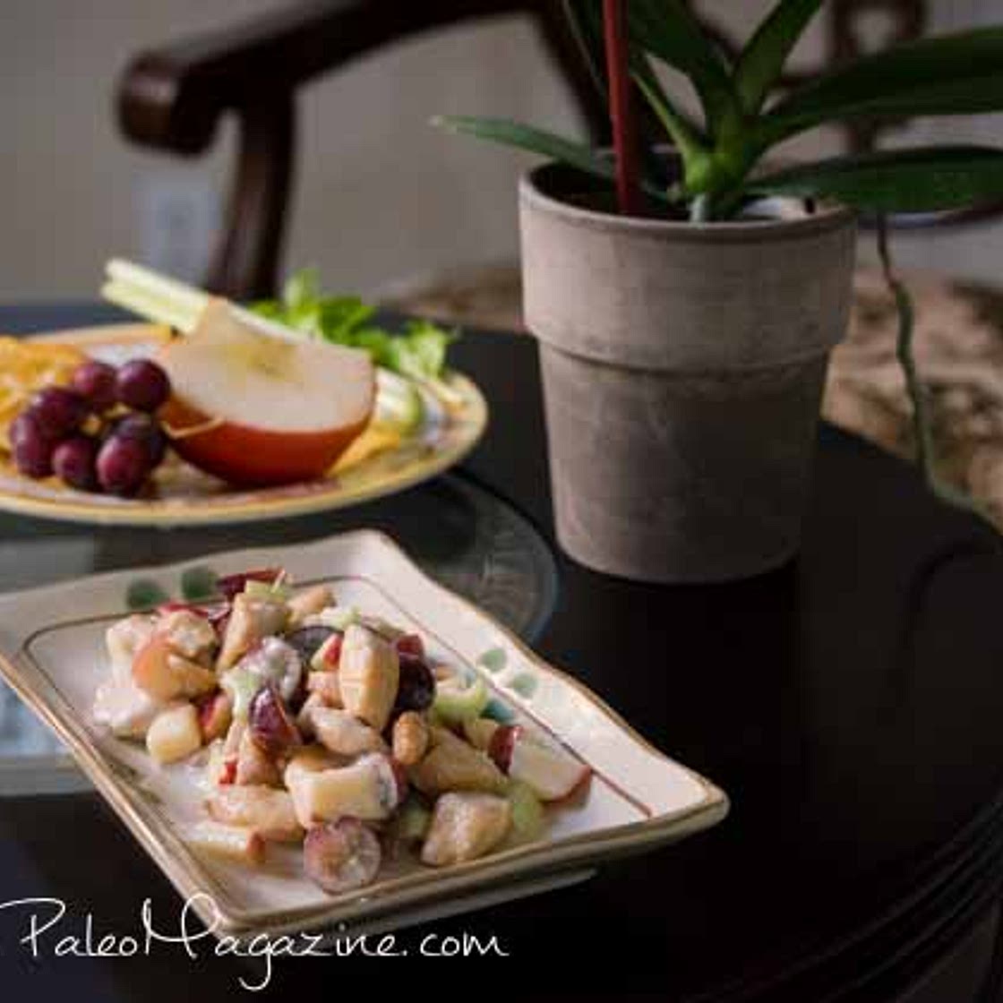 Chicken Salad Recipe With Grapes, Apple, and Celery (AIP, Paleo, Dairy-Free)