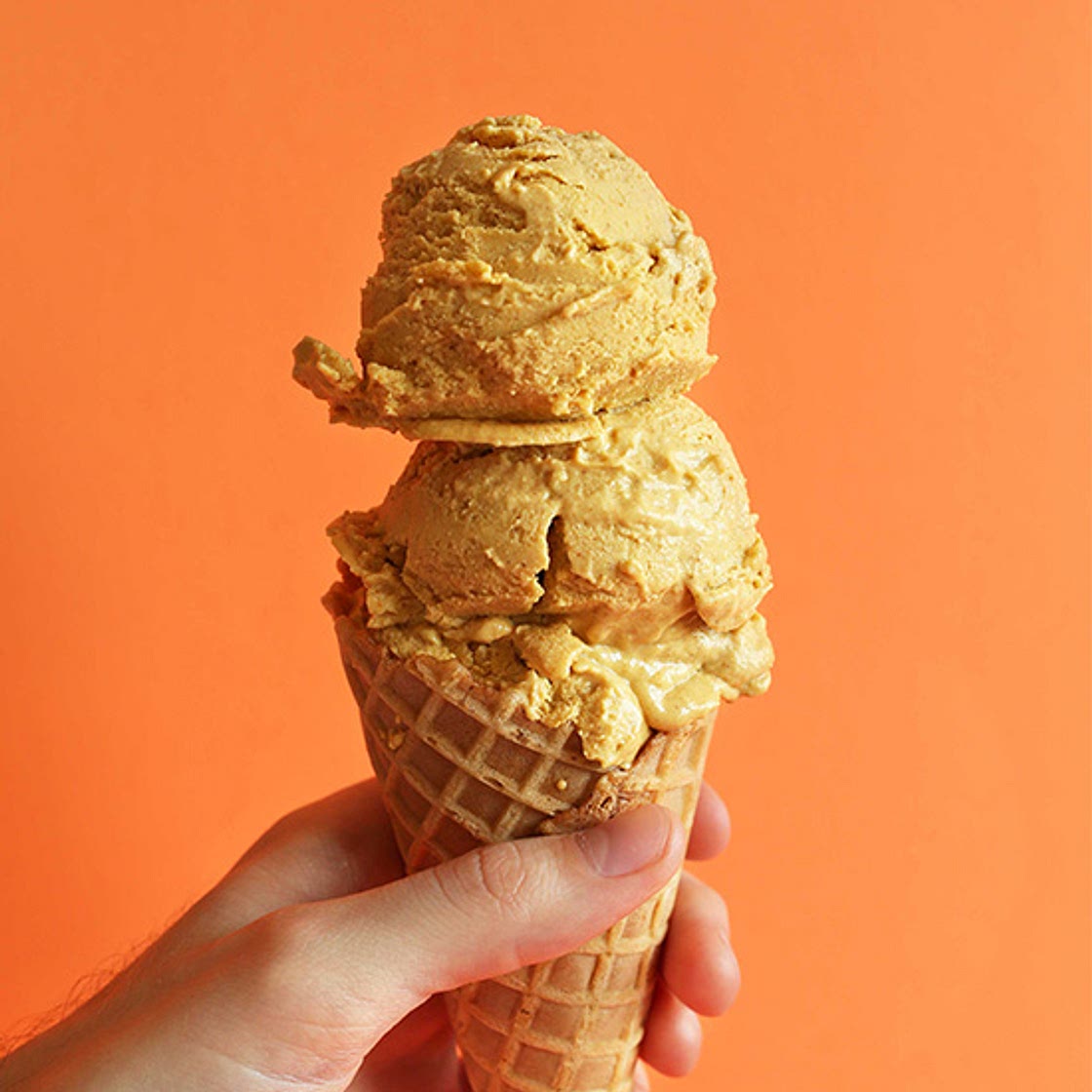 Vegan Pumpkin Pie Ice Cream
