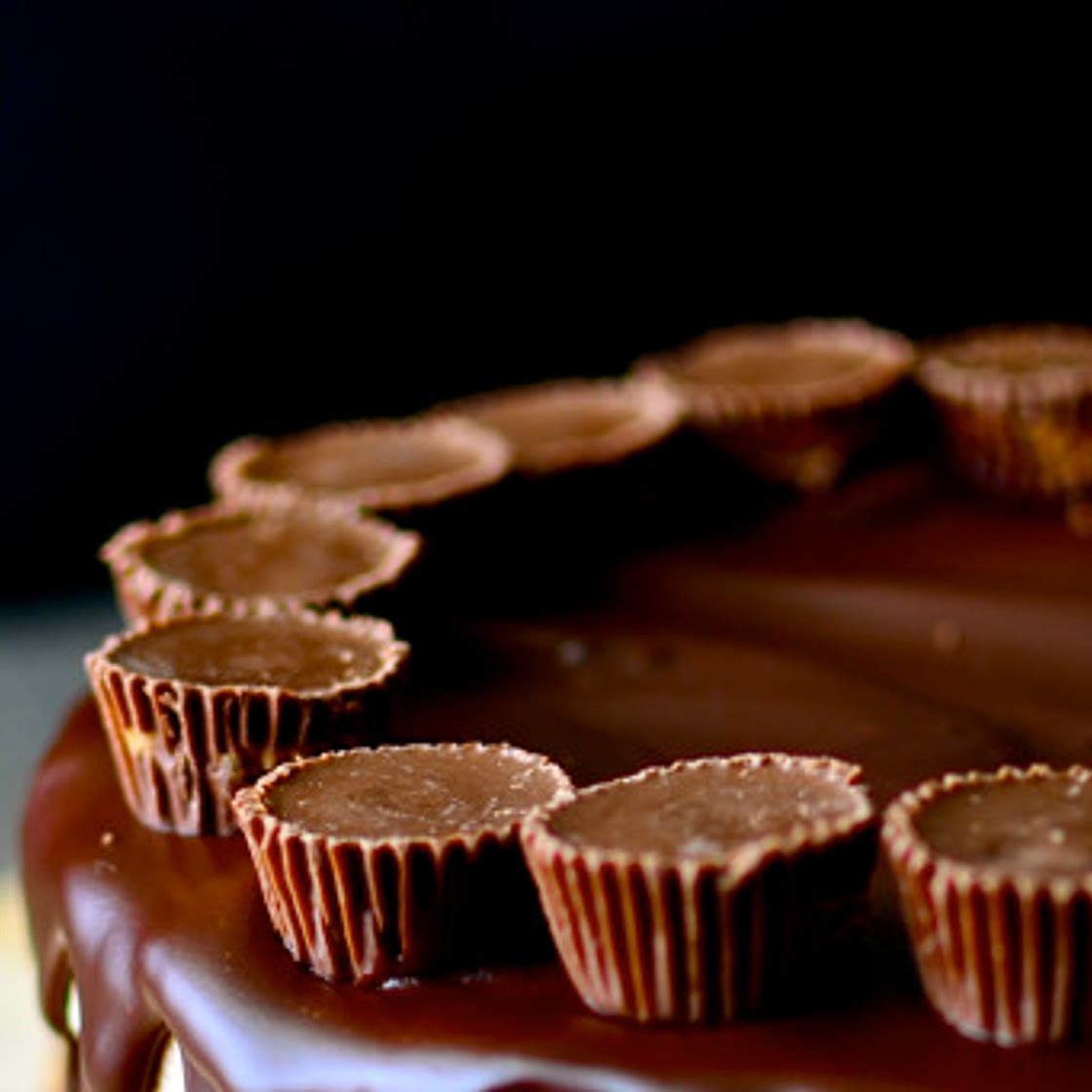 Flourless Chocolate Peanut Butter Cup Cake