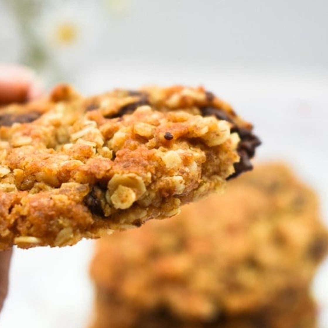 Chocolate Chip Oat Cookies