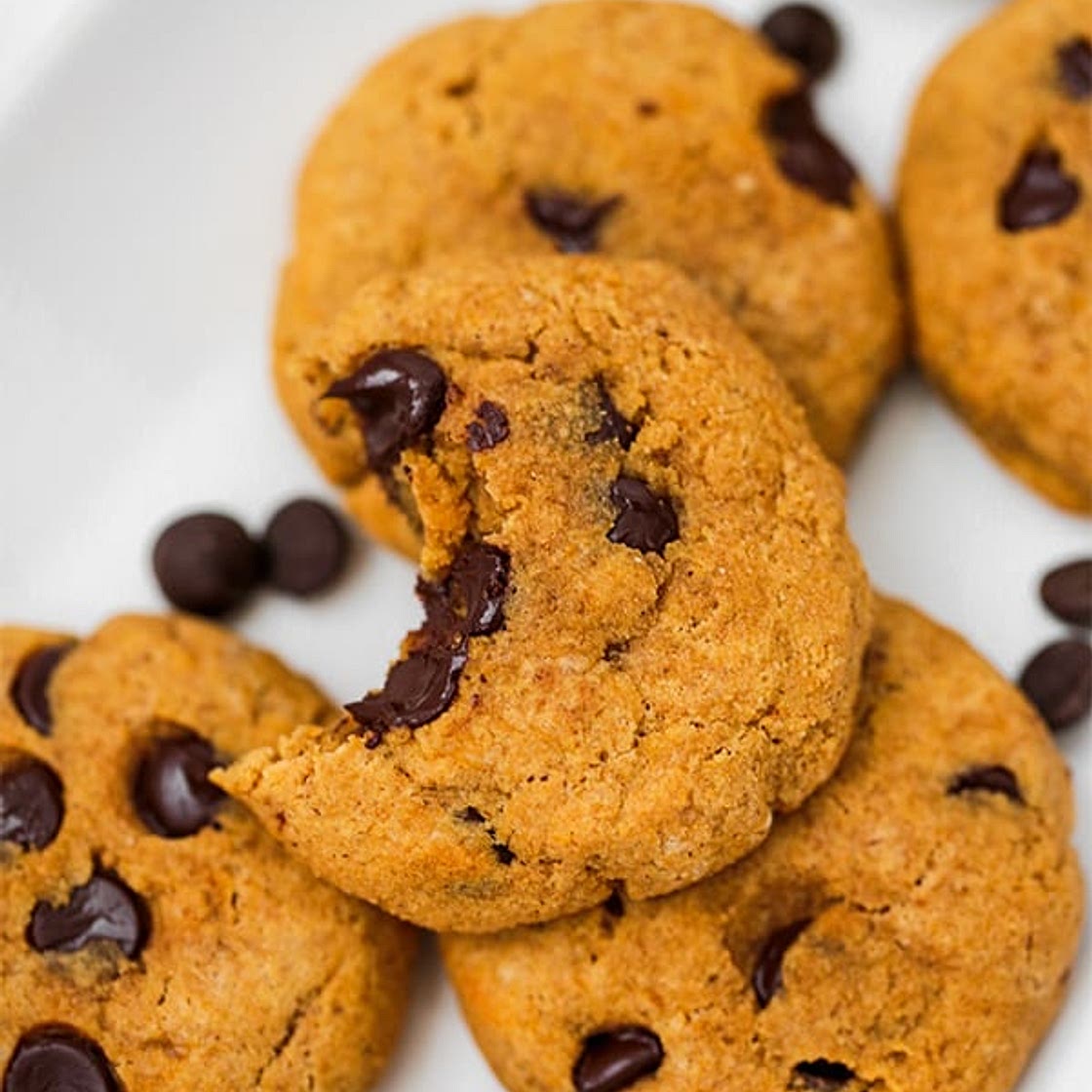 Paleo Pumpkin Chocolate Chip Cookies (AIP)