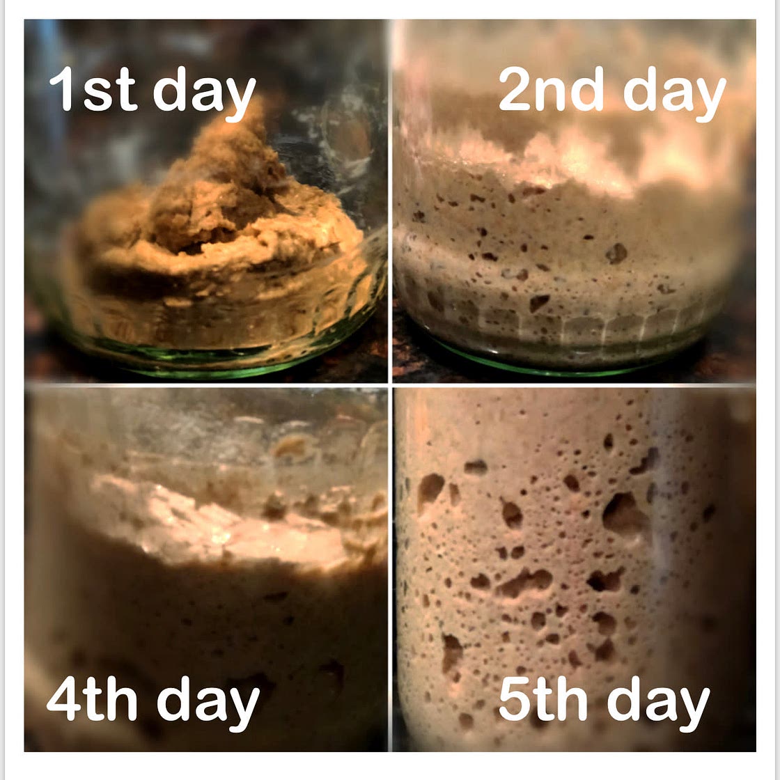 Sourdough Starter Recipe