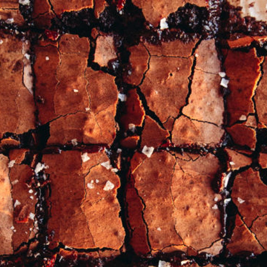 Sourdough Brownies