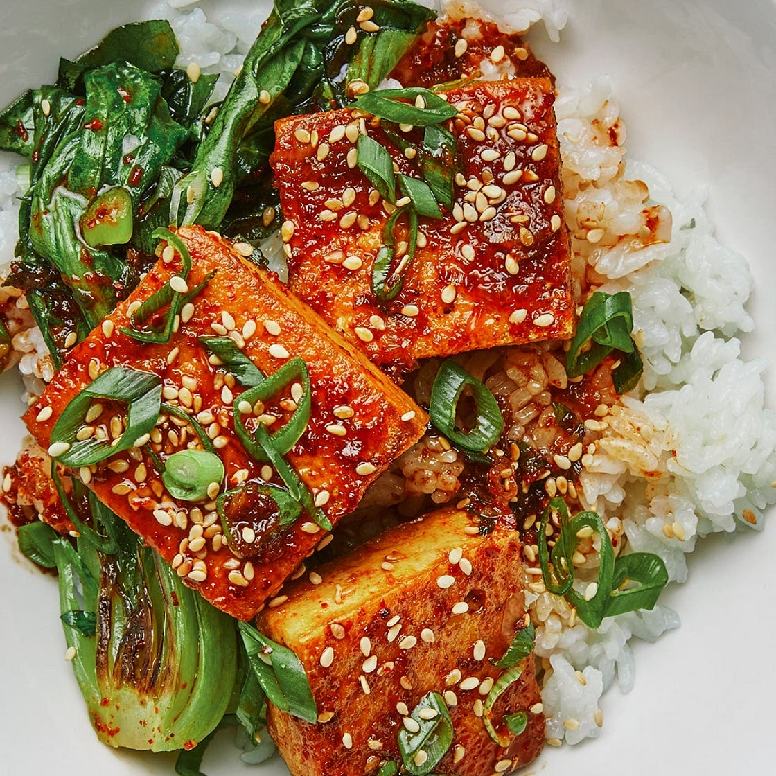 Spicy Braised Tofu