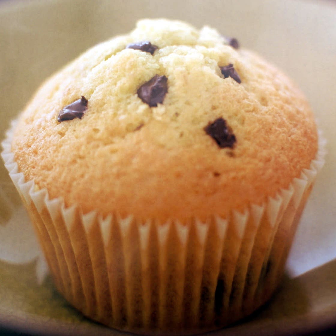 Chocolate Chip Cupcakes