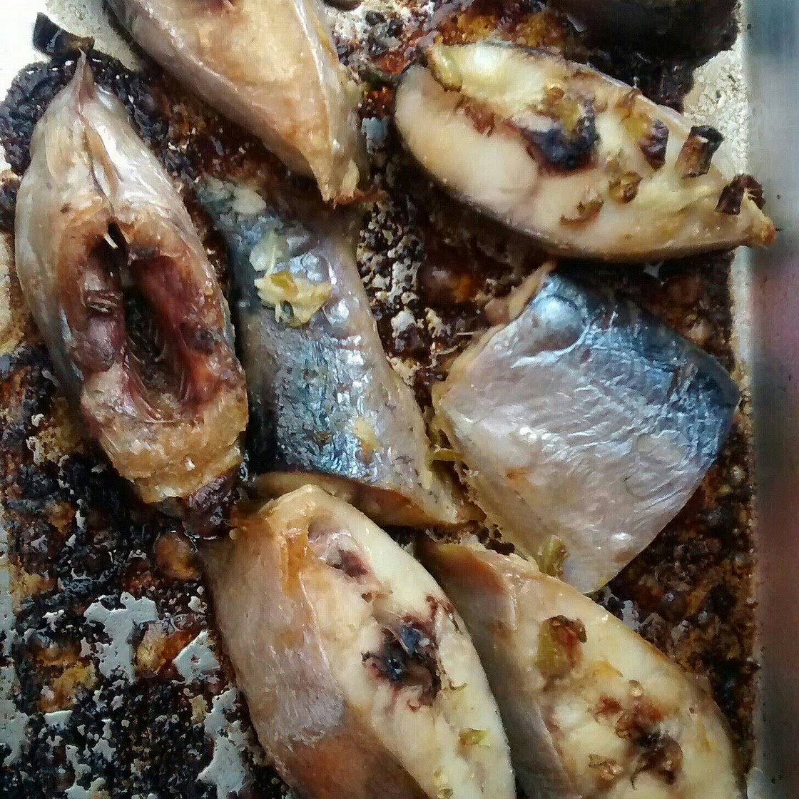 Filé de mapará no forno