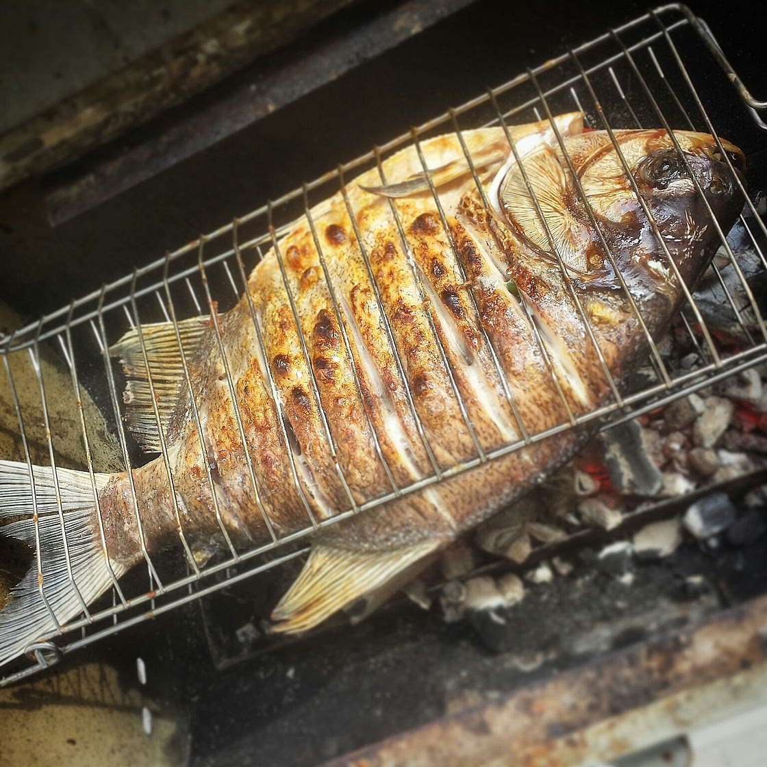 Pacu Assado na Brasa