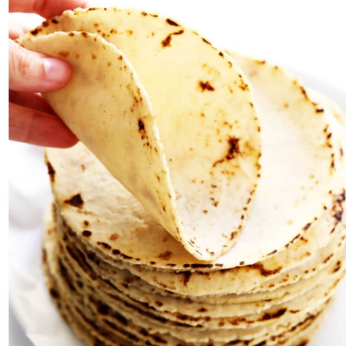 Homemade Corn Tortillas