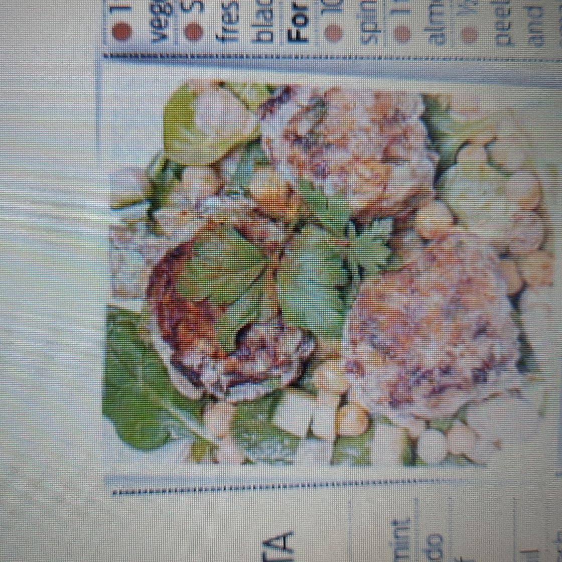 DINNER LAMB AND PINE NUT MEATBALLS WITH MOROCCAN SALAD
