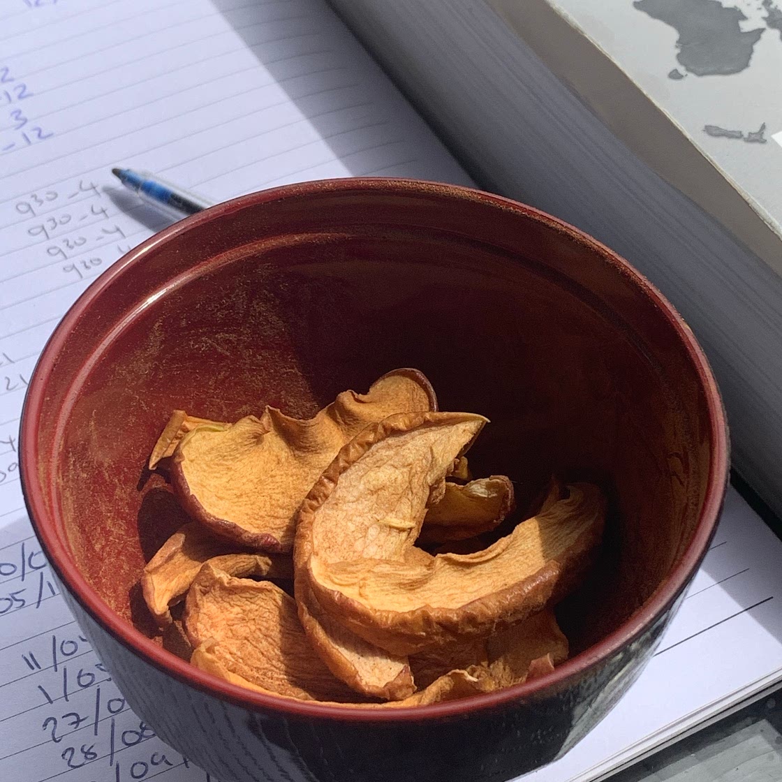 Dried apple slices with cinnamon dust