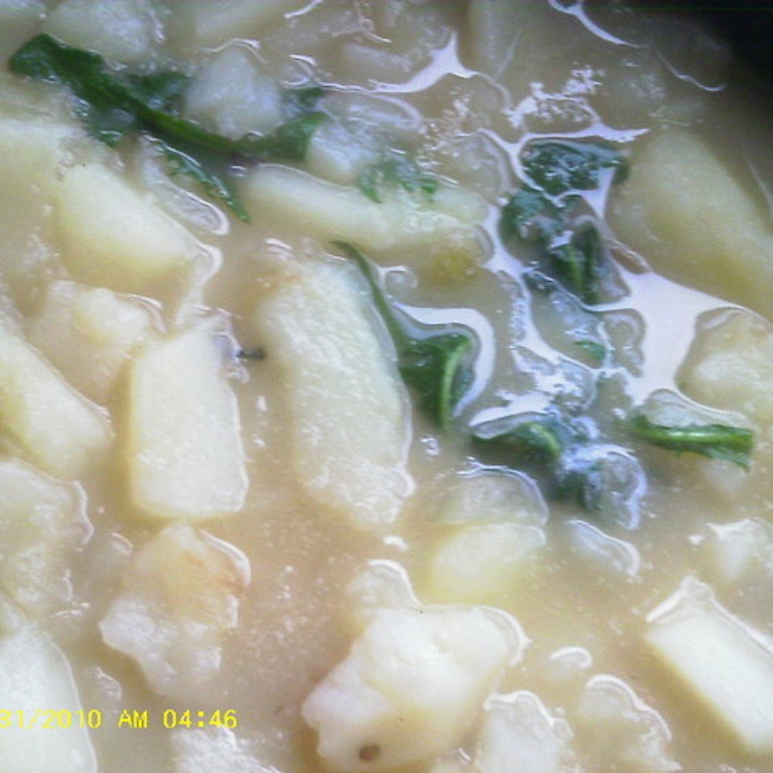 Crow Dandelion Soup Native American Recipe
