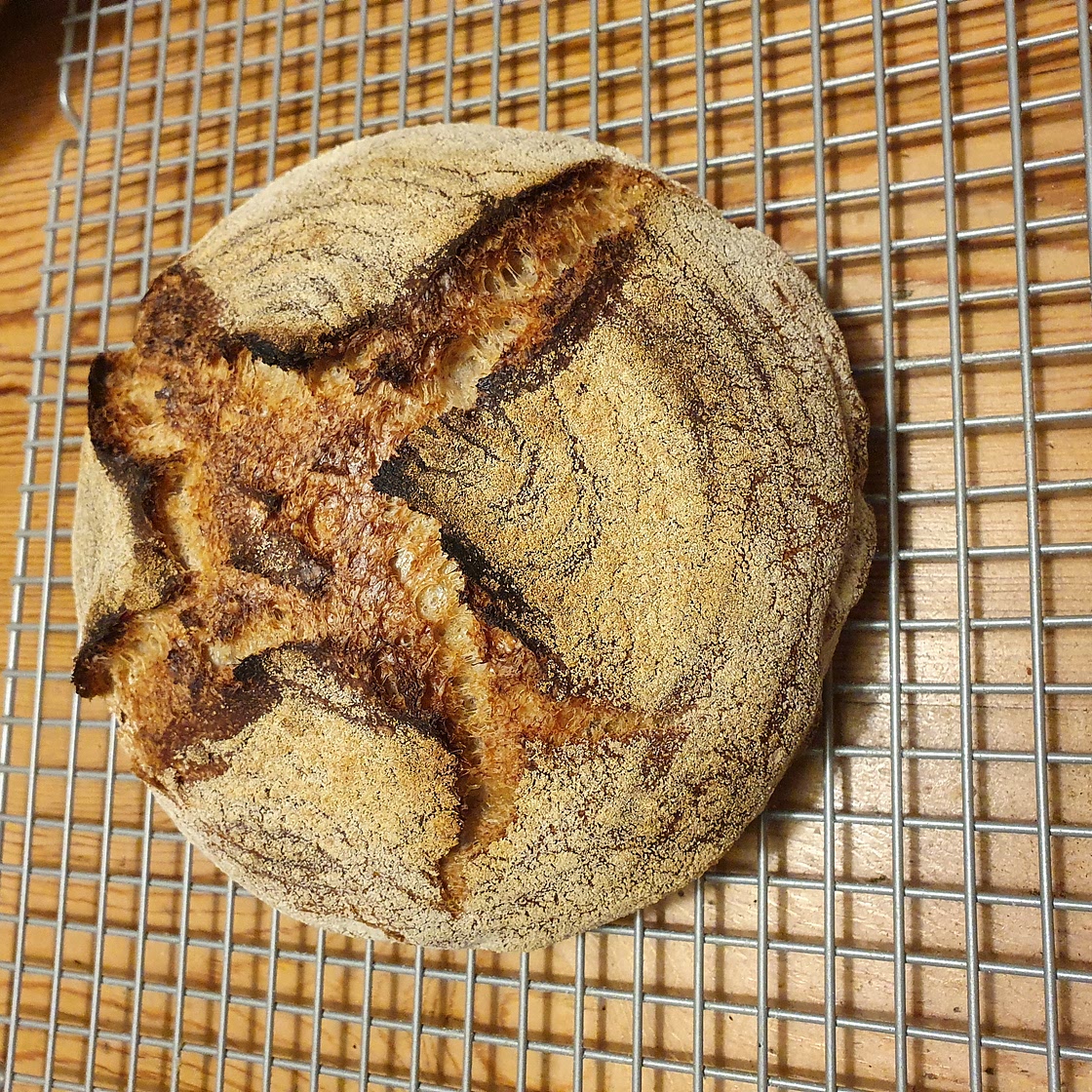 18-hour pro baker's white sourdough