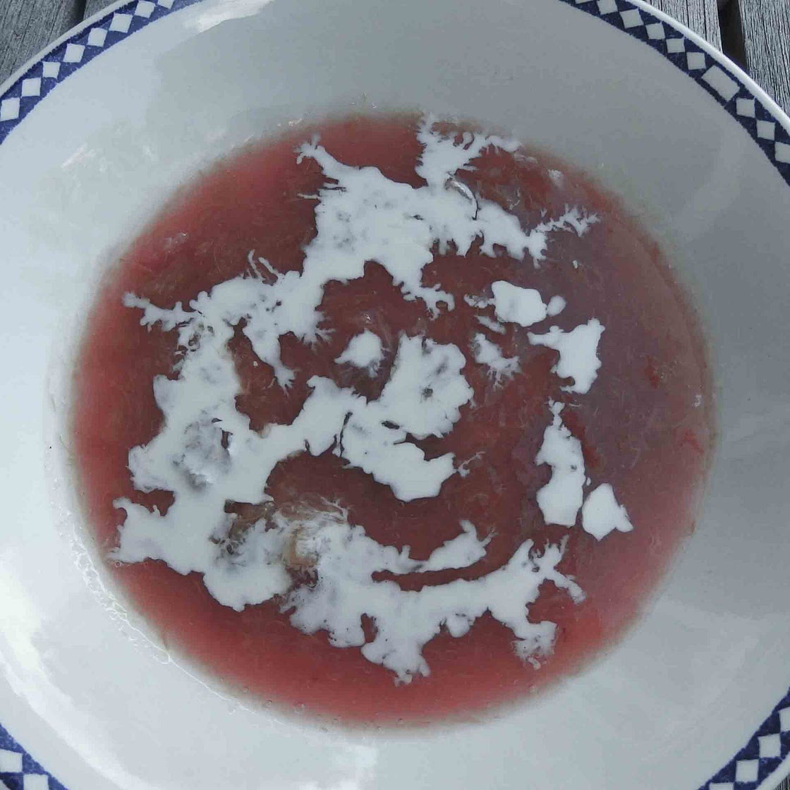 67. Faroe Islands: Rhubarb Porridge (Rabarbergrød)