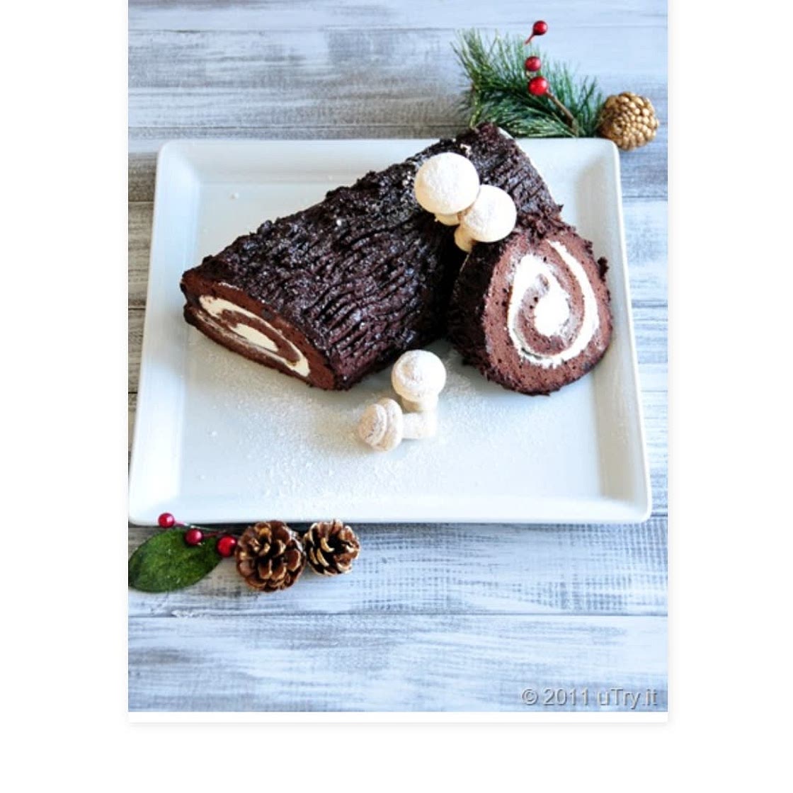 Busche De Noel