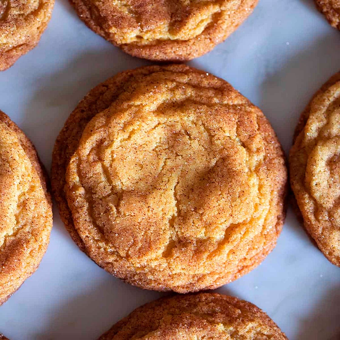 Snickerdoodle Recipe