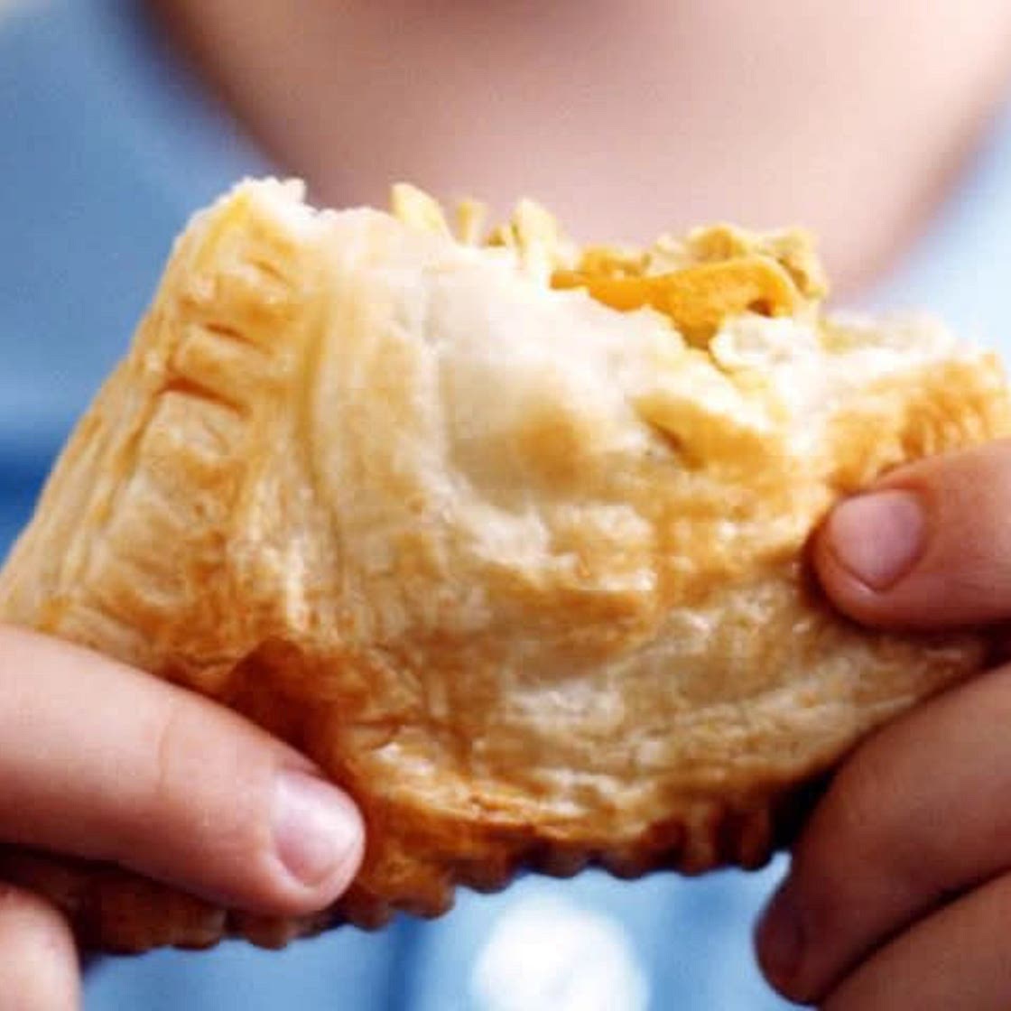 Creamy Chicken Pasties 