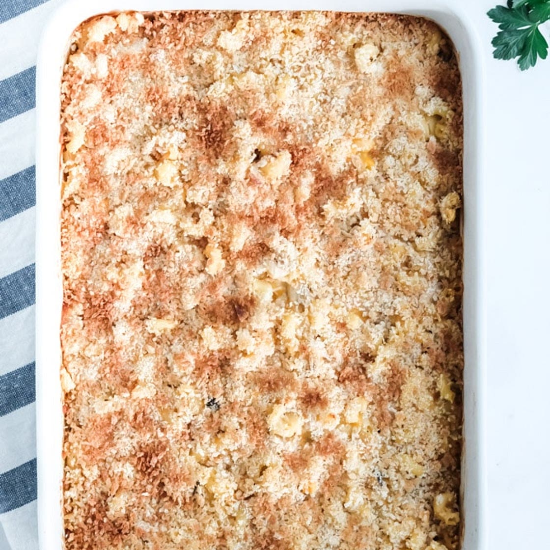 Creamy Chicken Casserole Recipe