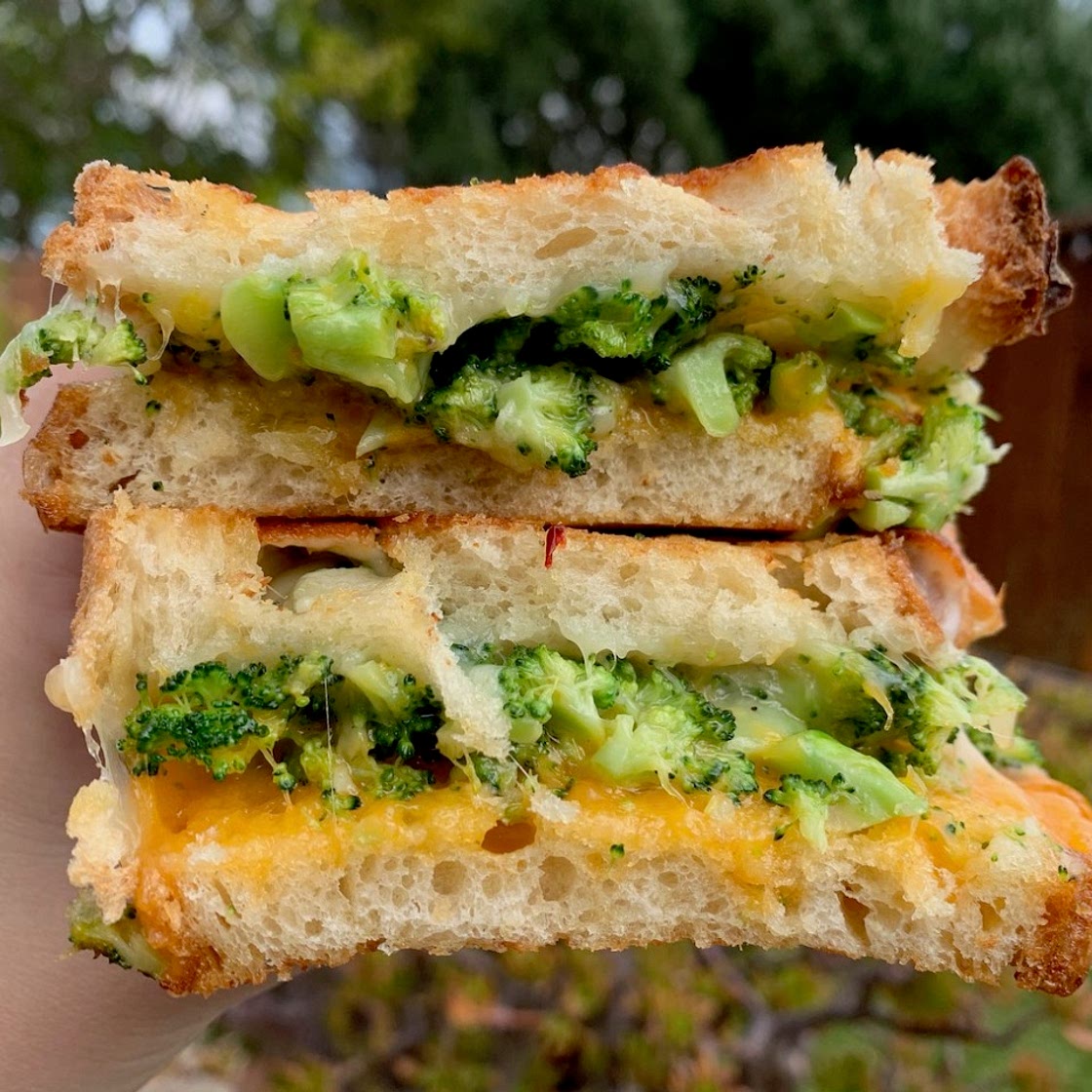 Broccoli Cheddar Grilled Cheese