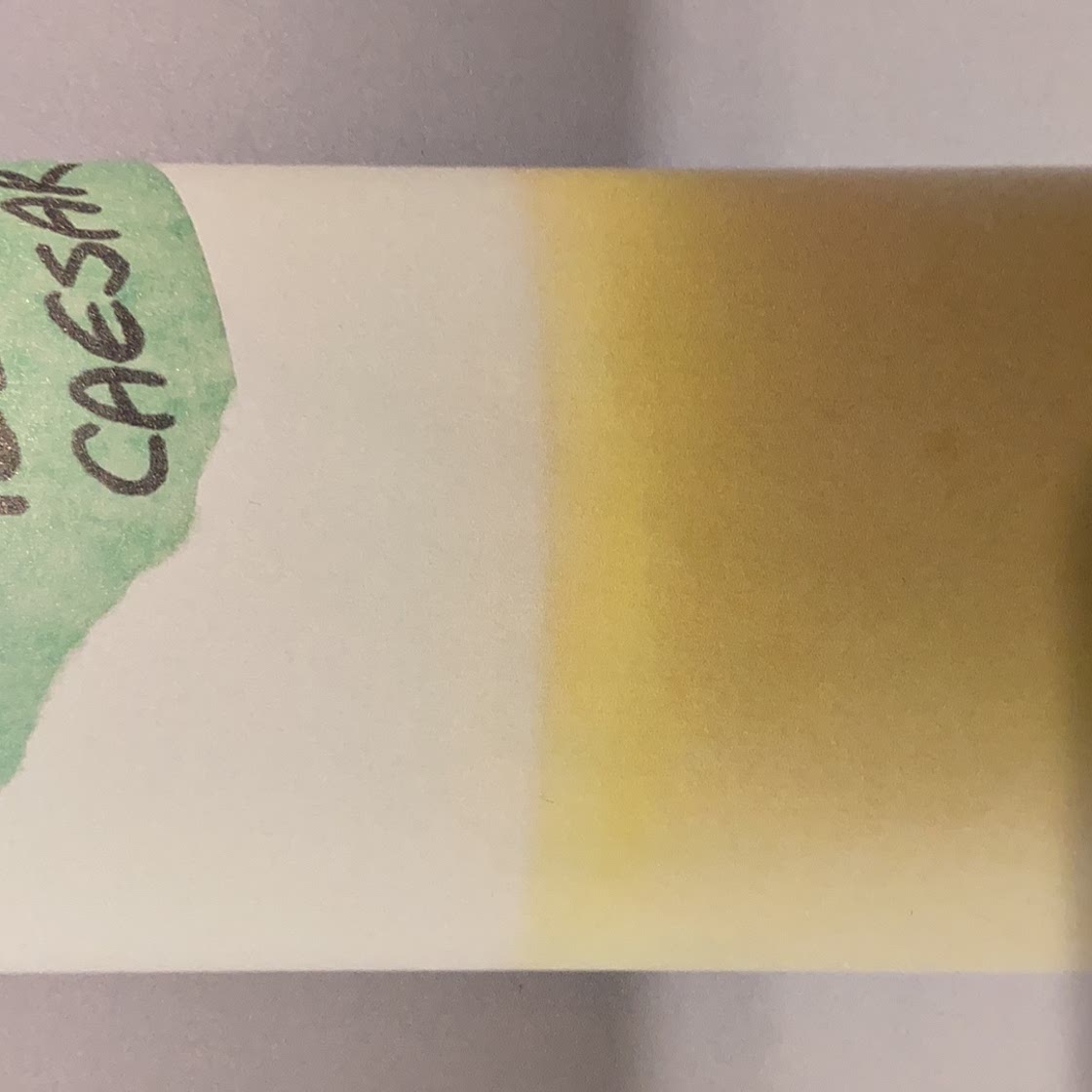 Yellow Ceaser Dressing